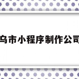 乌市小程序制作公司(专业制作小程序的公司)