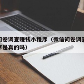 微信问卷调查赚钱小程序（微信问卷调查赚钱小程序是真的吗）