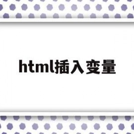 html插入变量(html定义变量并赋值代码)