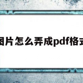 图片怎么弄成pdf格式(图片怎么弄成pdf格式电脑)