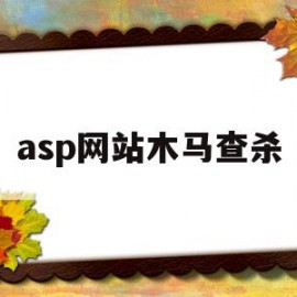 asp网站木马查杀的简单介绍