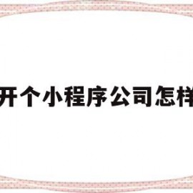 开个小程序公司怎样(开个小程序公司怎样赚钱)