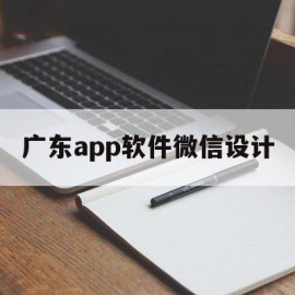 广东app软件微信设计(广东app软件微信设计怎么样)