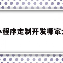 小程序定制开发哪家大(小程序定制开发解决方案)