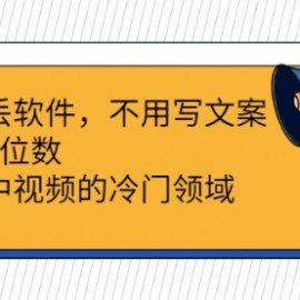 直接丢软件，不用写文案，收益4位数头条中视频的冷门领域