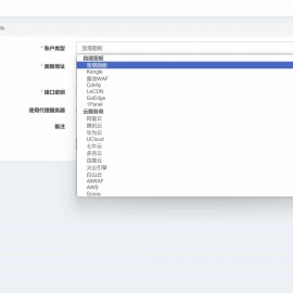 聚合DNS已更新SSL证书自动申请与部署功能