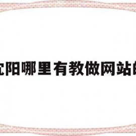 关于沈阳哪里有教做网站的的信息