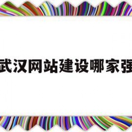 武汉网站建设哪家强(武汉网站建设方案外包)