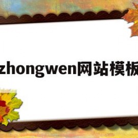 关于zhongwen网站模板的信息