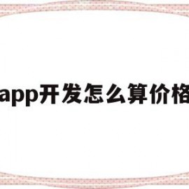 app开发怎么算价格(app开发怎么算价格的)