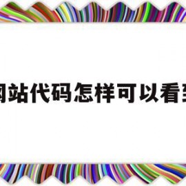 网站代码怎样可以看到(网站代码怎样可以看到内容)