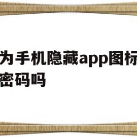 华为手机隐藏app图标需要密码吗(华为手机隐藏app图标需要密码吗安全吗)