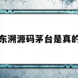 京东溯源码茅台是真的吗(京东茅台溯源码撕过看得出吗)