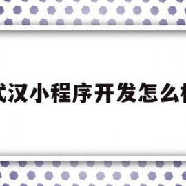 武汉小程序开发怎么样(uniapp开发小程序怎么样)