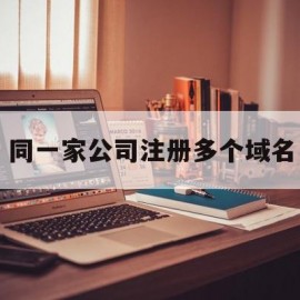 同一家公司注册多个域名(一家公司可以注册几个域名)