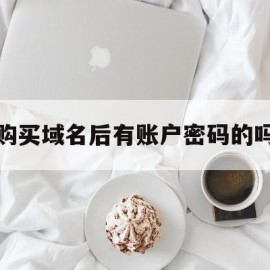 购买域名后有账户密码的吗(购买域名后有账户密码的吗知乎)