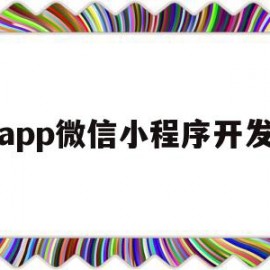 app微信小程序开发(微信小程序开发实例教程)