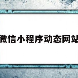 微信小程序动态网站(微信小程序投票怎么弄)