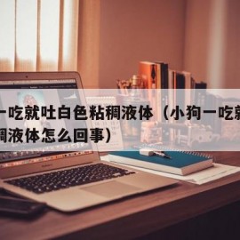 小狗一吃就吐白色粘稠液体（小狗一吃就吐白色粘稠液体怎么回事）