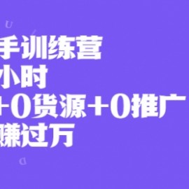 闲鱼新手训练营，每天一小时，0基础+0货源+0推广 也能月赚过万