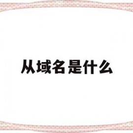 从域名是什么(域名是什么意思)