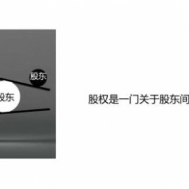 股权激励训练营第3期，零基础30个案例搞定股权激励价值1980元