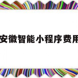 安徽智能小程序费用(安徽智能小程序费用查询)