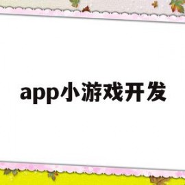 app小游戏开发(app制作开发平台)