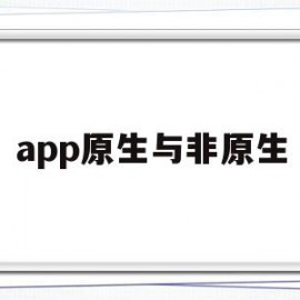 app原生与非原生(app原生开发和非原生的区别)