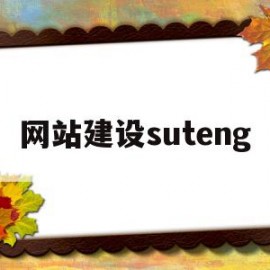 网站建设suteng(网站建设哪个公司比较好)