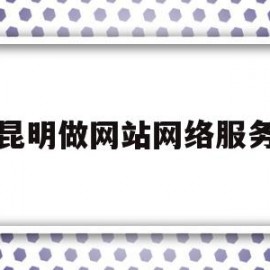 昆明做网站网络服务(昆明做网站建设有哪些)