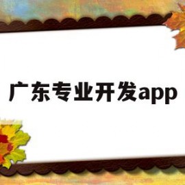 广东专业开发app(广东学软件开发哪个学校好)