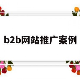 b2b网站推广案例(b2b平台推广产品的效果)