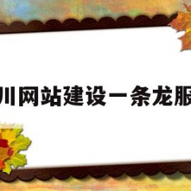 包含银川网站建设一条龙服务的词条