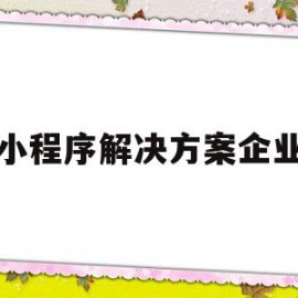 小程序解决方案企业(小程序解决方案企业怎么写)