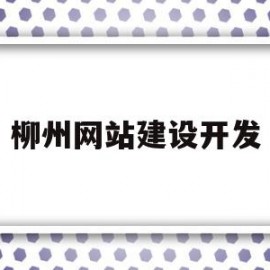 柳州网站建设开发(柳州网站建设开发招聘)