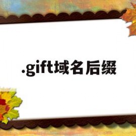 .gift域名后缀(域名后缀网址是什么意思)