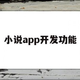 小说app开发功能(小说app开发源码软件定制搭建)