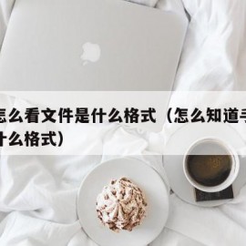 手机怎么看文件是什么格式（怎么知道手机文件是什么格式）