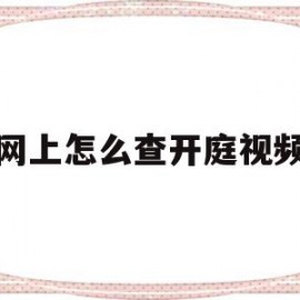 网上怎么查开庭视频(怎样网上查询开庭时间)