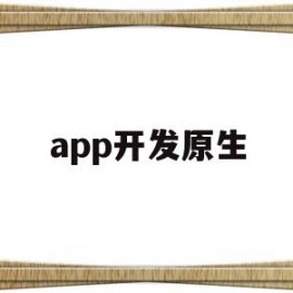 app开发原生(app原型开发)