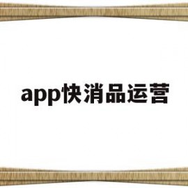 app快消品运营(快消品运营经理岗位职责)