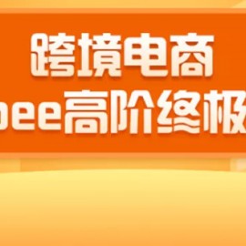 2020跨境电商蓝海新机会-shopee大卖特训营：高阶终极课程