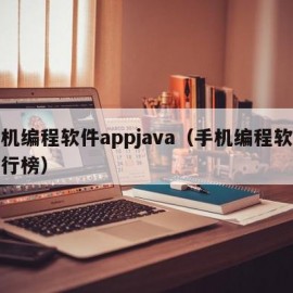 手机编程软件appjava（手机编程软件排行榜）