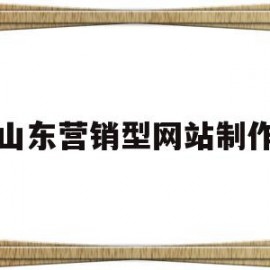 山东营销型网站制作(营销型网站建设的步骤流程是什么)