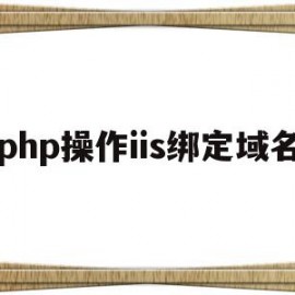 php操作iis绑定域名(php可以和iis配合运行吗?)