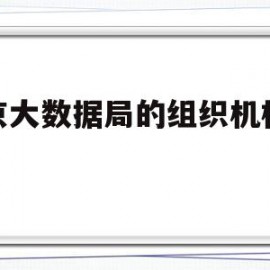 南京大数据局的组织机构代码(南京大数据局的组织机构代码是多少)