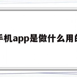 手机app是做什么用的(手机app是做什么用的软件)