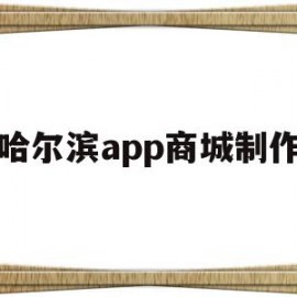 哈尔滨app商城制作(哈尔滨做小程序的公司有哪些)