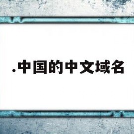 .中国的中文域名(中国的中文域名是什么)